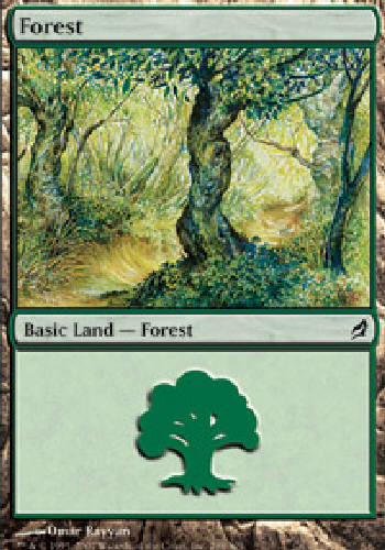 『MTG』森　グルランド　14 FOREST #298 Lorwyn MTG Magic the Gathering Cards DJMagic | eBay